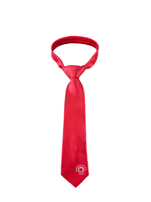 CORBATA CON RAYAS