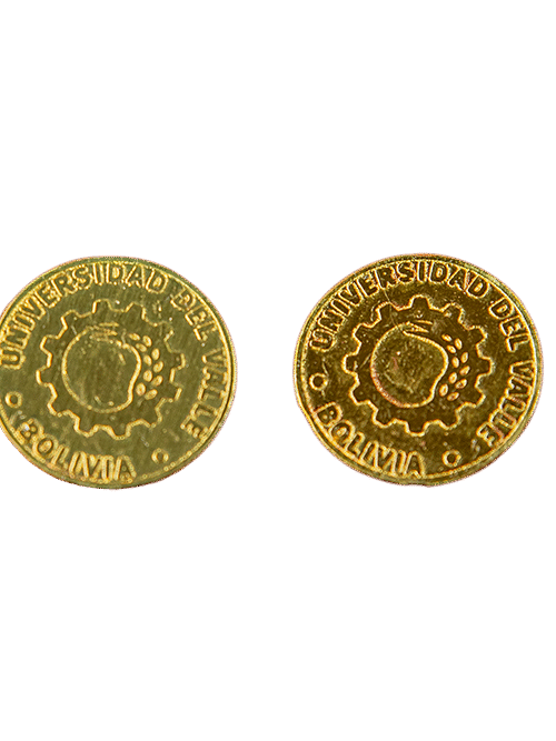 PIN INSTITUCIONAL ENCHAPADO EN ORO