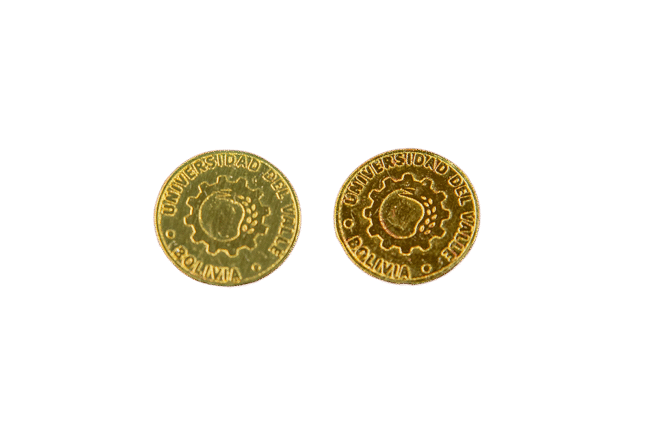 PIN INSTITUCIONAL ENCHAPADO EN ORO